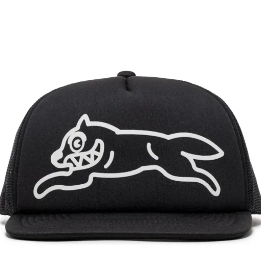 Ice Cream Options Trucker Hat