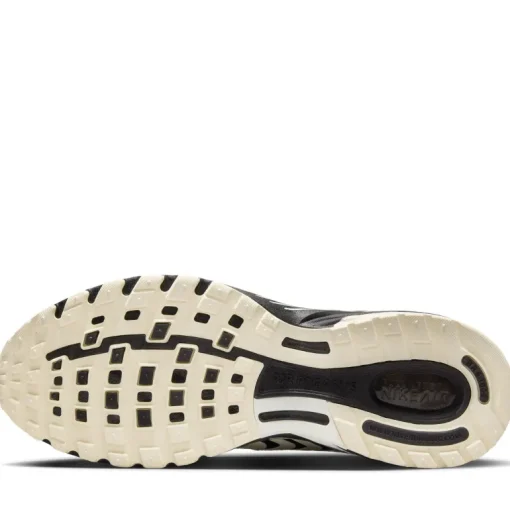Nike Air Pegasus 2005
