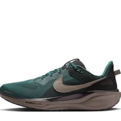 Nike Air Zoom Pegasus 41 SP