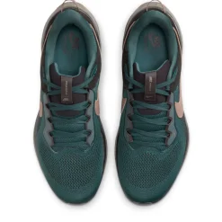 Nike Air Zoom Pegasus 41 SP