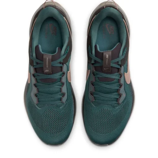 Nike Air Zoom Pegasus 41 SP