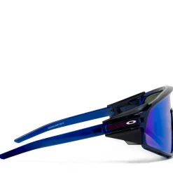 Oakley Team USA Latch Panel