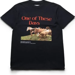 One Of These Days Wild Horses Tee