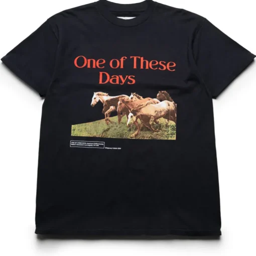 One Of These Days Wild Horses Tee