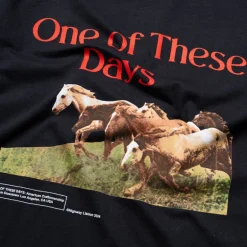 One Of These Days Wild Horses Tee