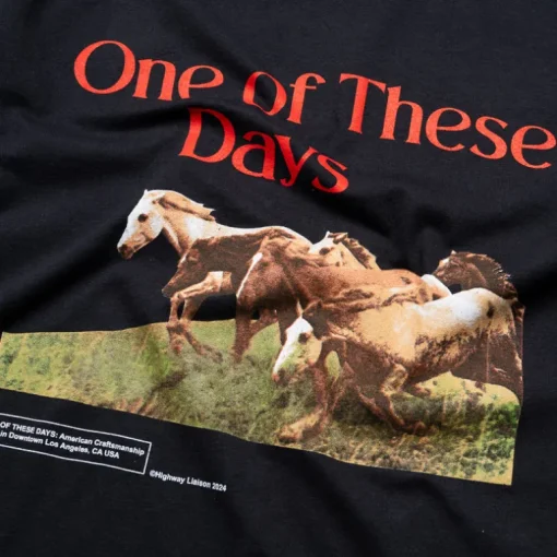One Of These Days Wild Horses Tee