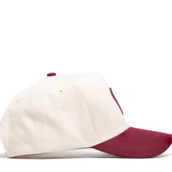 Politics A-Frame Snapback Hat