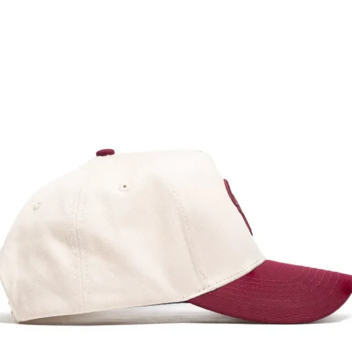 Politics A-Frame Snapback Hat
