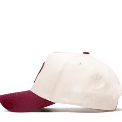 Politics A-Frame Snapback Hat