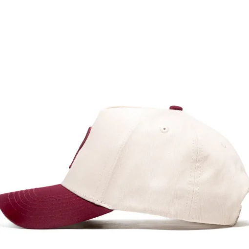 Politics A-Frame Snapback Hat
