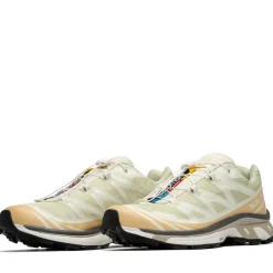 Salomon XT-6