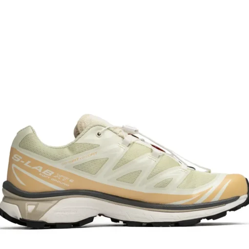 Salomon XT-6
