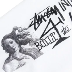 Stussy Long Haul L/S Tee