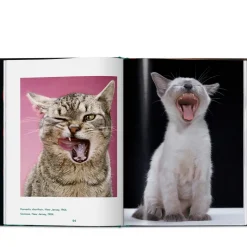 Taschen Walter Chandoha. Cats. Photographs 1942–2018