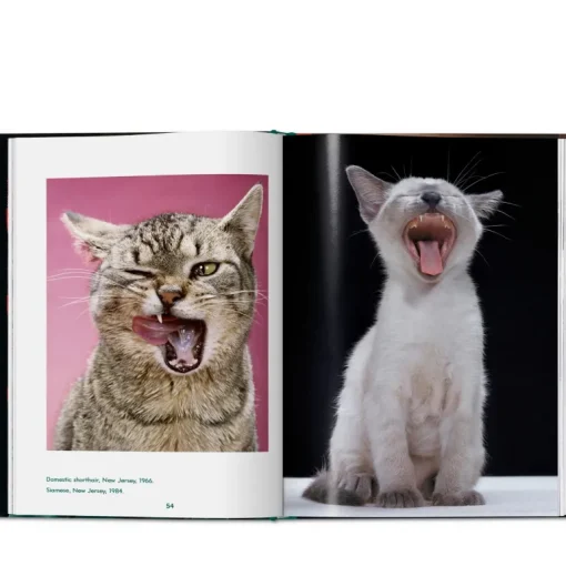 Taschen Walter Chandoha. Cats. Photographs 1942–2018