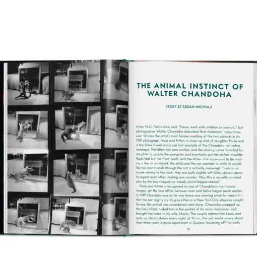 Taschen Walter Chandoha. Cats. Photographs 1942–2018