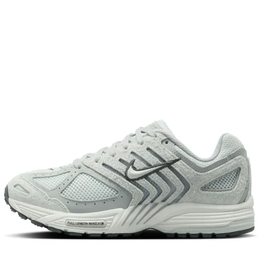 Women's Nike Air Pegasus 2005