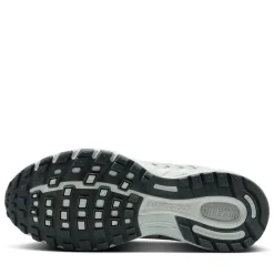 Women's Nike Air Pegasus 2005