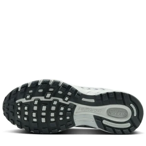 Women's Nike Air Pegasus 2005