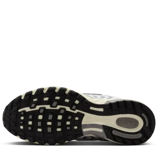 Women's Nike Air Pegasus 2005